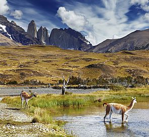 O melhor de Torres del Paine e Patagonia - Full