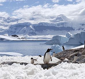 La Antártica chilena, un territorio inexplorado
