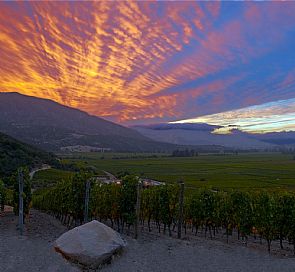Tour de vinho no Valle de Colchagua