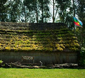 Dormir em Ocas, curar com plantas: é assim que você vive em uma comunidade Mapuche