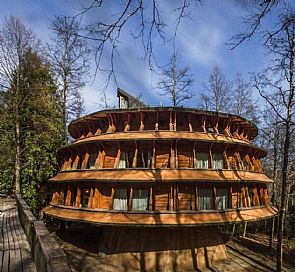 Reino Fungi Lodge - Huilo Huilo