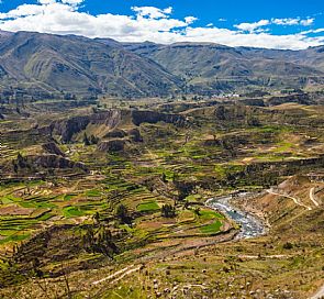 O que fazer em Colca Canyon