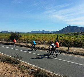 Vinho e Bicicletas