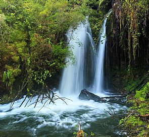 Tudo o que você precisa saber sobre o Parque Nacional Alerce Andino