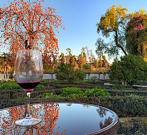 5 razões pelas quais a Viña Santa Rita foi escolhida como a melhor do mundo