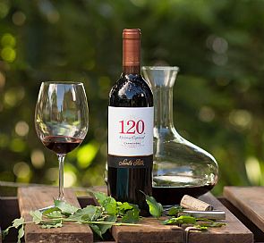 7 curiosidades da melhor vinícola do mundo: Santa Rita