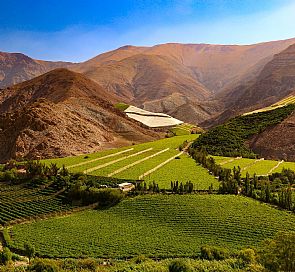 Self-Drive em Pisco Elqui com o Hotel Dorys de Lourdes
