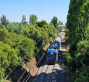 Rota do Vinho de Trem: Vinícola Casa Silva