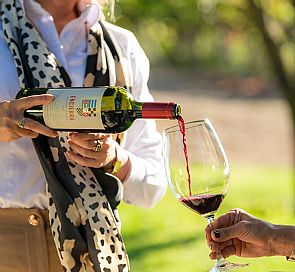 Guia para escolher o vinho perfeito para cada ocasião no Chile
