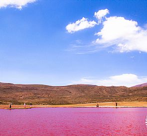 Laguna Roja: Conheça a misteriosa lagoa de sangue no norte do Chile