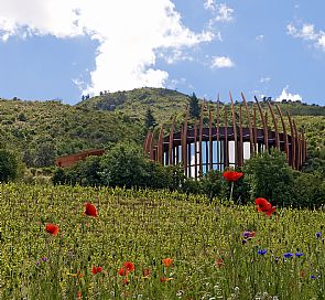 Rota do vinho: Quais vales vitivinícolas conhecer no Chile?