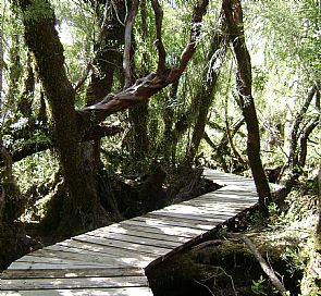 Trekking pelo Parque Nacional Chiloé