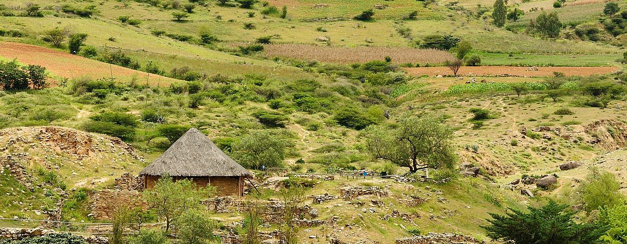 Complexo Arqueologico de Kotosh