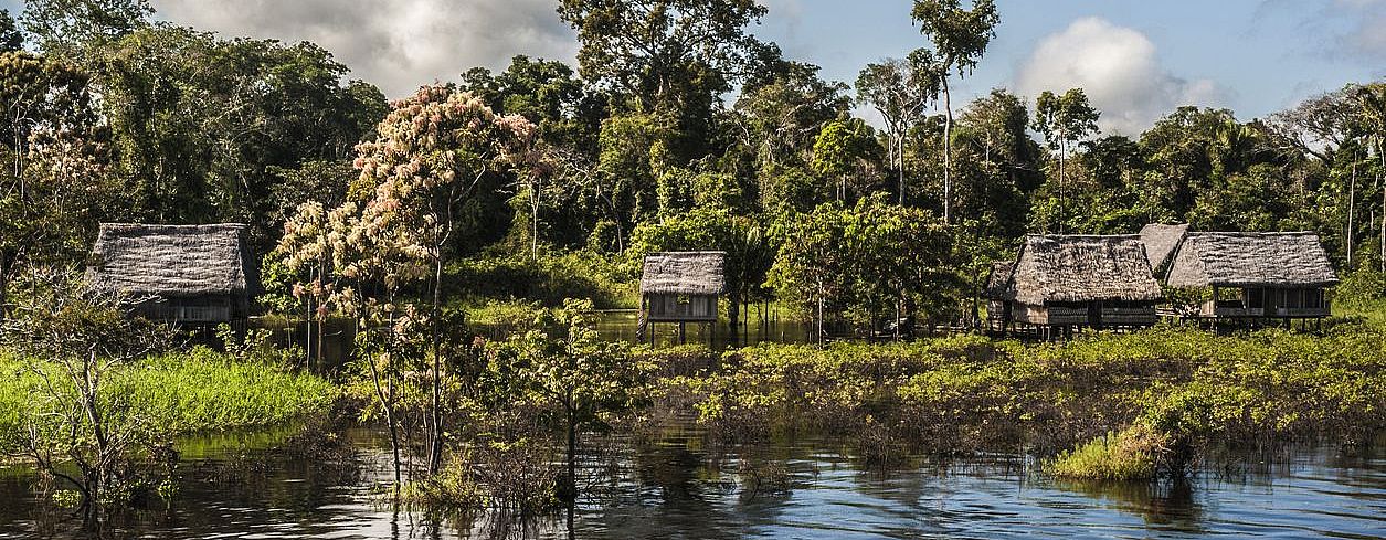 Reserva Nacional Pacaya Samiria