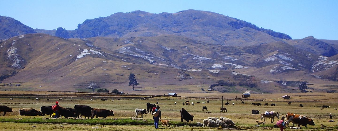 Complexo Arqueológico de Huánuco Pampa