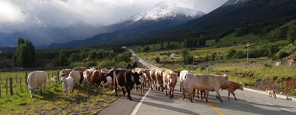 Chile Tours: Carretera Austral Sur y Tortel 6 dias / 5 noites ...