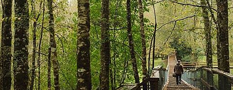 Reserva Biológica Huilo Huilo