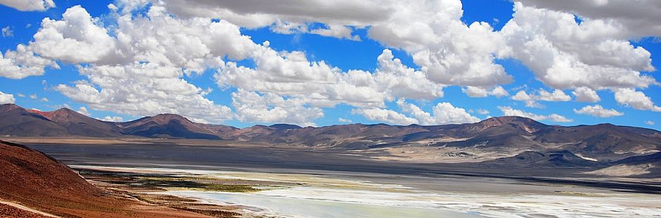 Excursão pelo Parque Nacional Salar del Huasco