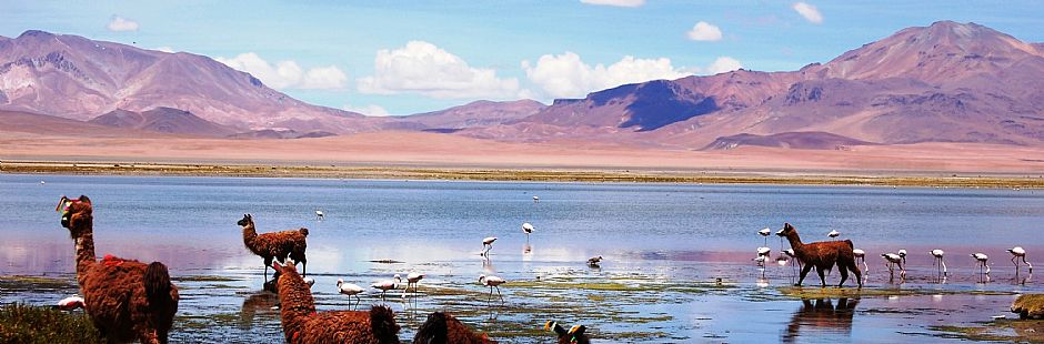 O melhor de San Pedro de Atacama - Perfeito