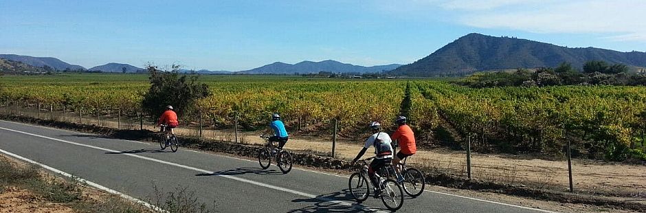Vinho e Bicicletas