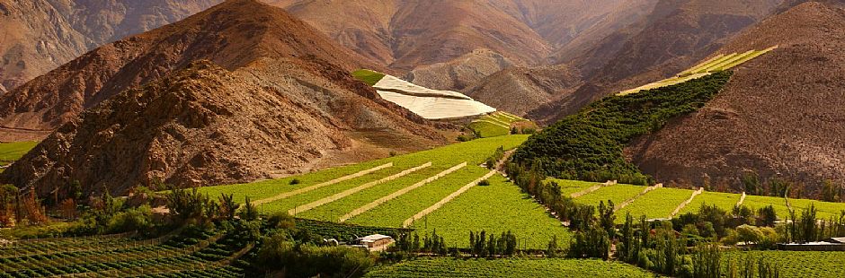 Self-drive no Vale do Elqui com o Hotel Terral
