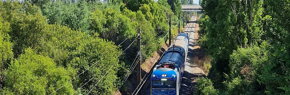 Rota do Vinho de Trem: Vinícola Casa Silva
