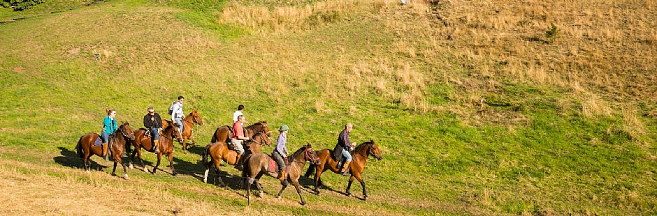 Chiloé com tudo incluído no Hotel Refugia