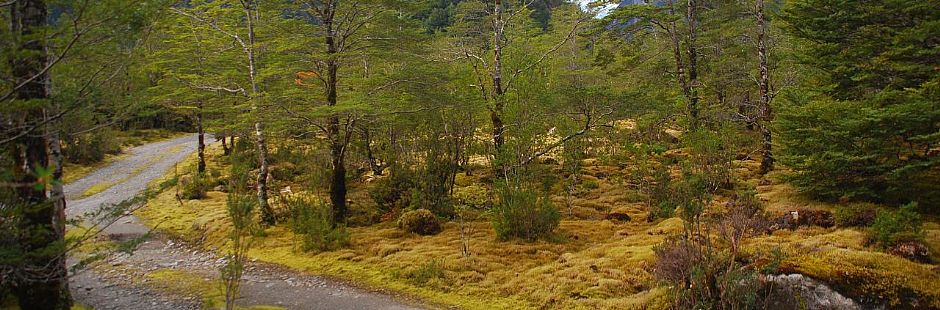 O Melhor da Carretera Austral Norte
