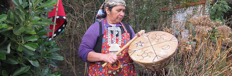 Visita à comunidade mapuche em Pucón